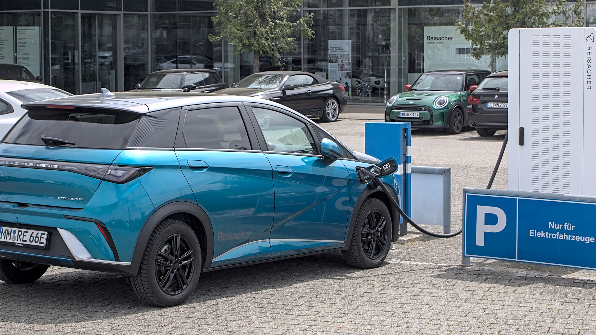 A BYD Dolphin electric hatchback, one of the Chinese-made EV models entering Canada under the 2026 import quota