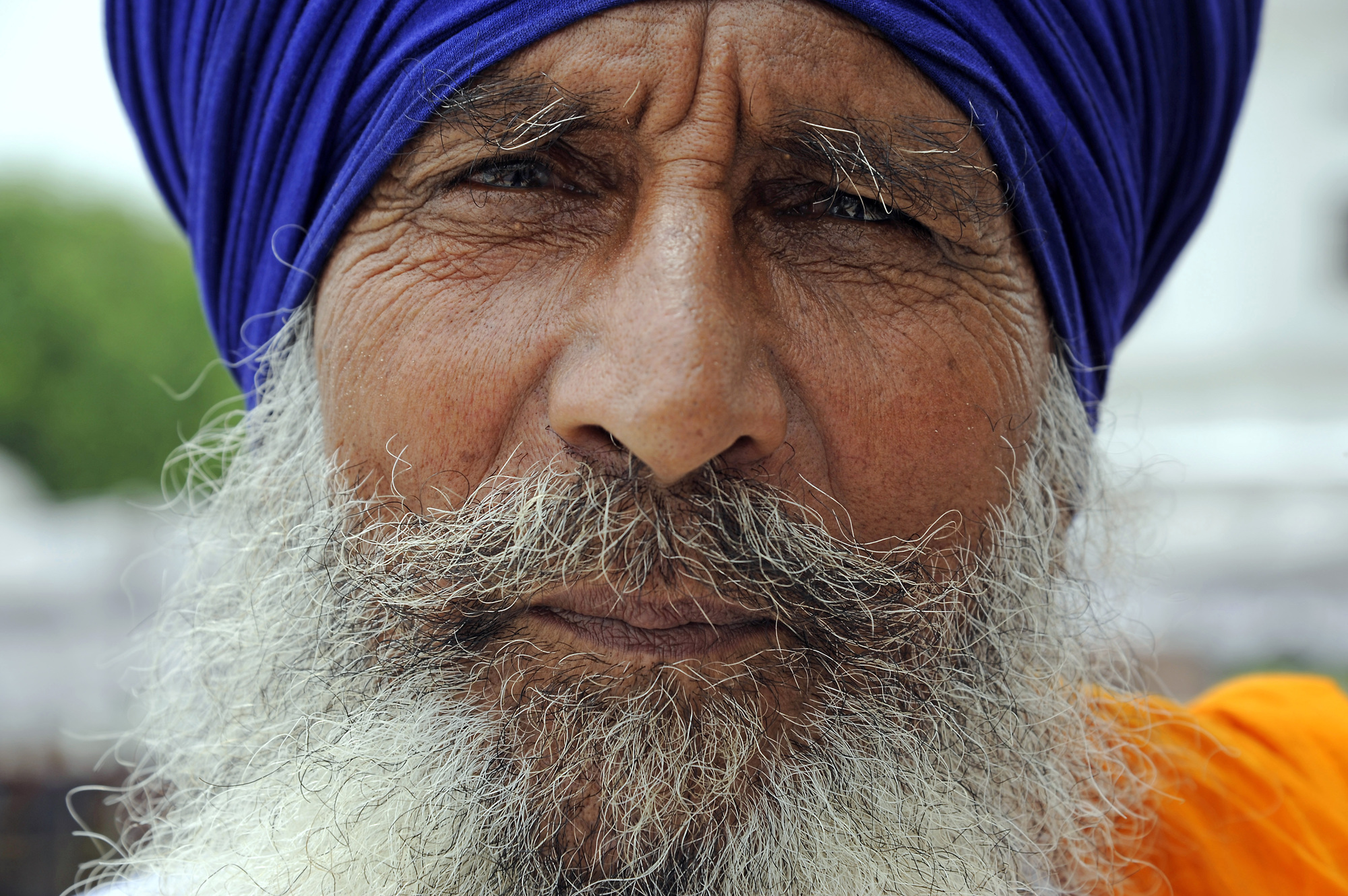 Portrait of a Sikh elder with a deep blue turban and white beard.