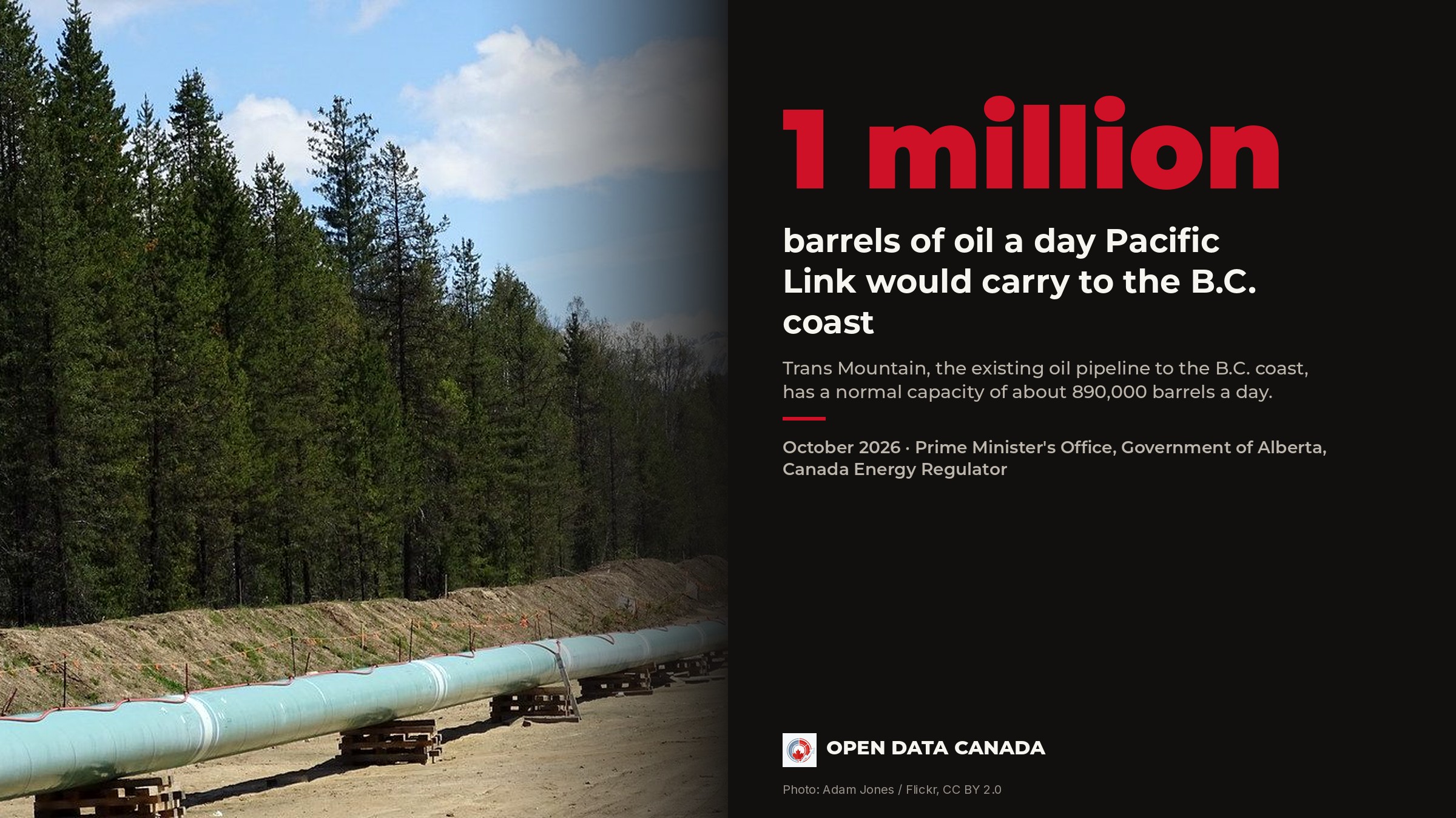 Trans Mountain pipeline sections laid out beside a forest during construction between Clearwater and Valemount, B.C.