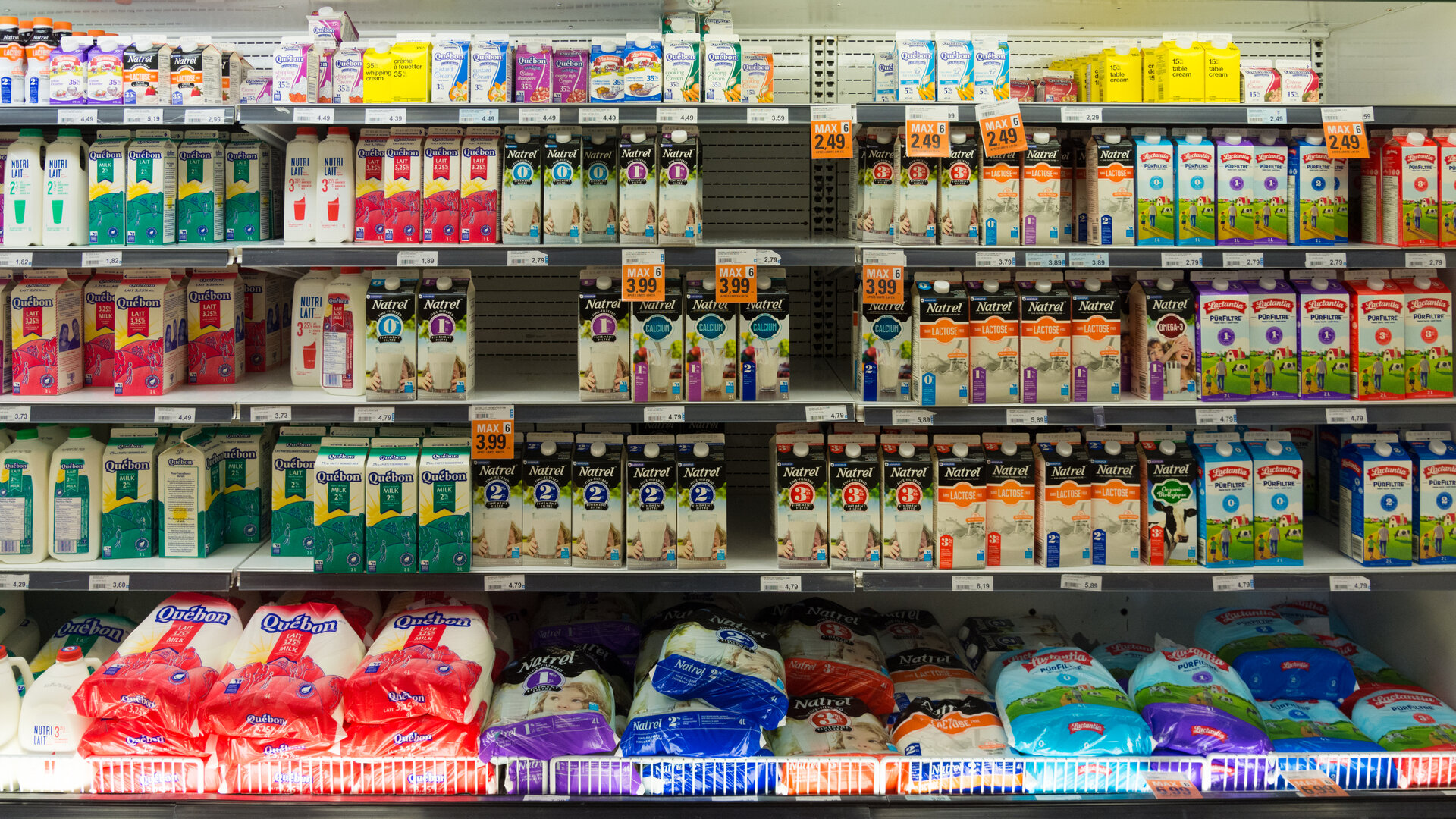Grocery store dairy aisle with price tags visible on the shelves